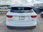 2019 Jaguar F-pace Prestige Белый vin: SADCK2FX6KA367431