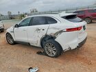 2018 Jaguar F-pace Prestige Белый vin: SADCK2FX9JA276359