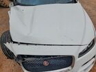 2018 Jaguar F-pace Prestige Белый vin: SADCK2FX9JA276359