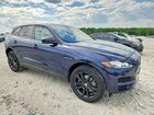 2019 Jaguar F-pace Prestige Синий vin: SADCK2GX5KA361201