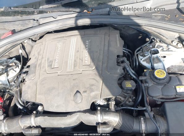 SADCM2FV2KA609799 2019 JAGUAR F-PACE Белый Вид сзади