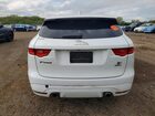 2019 Jaguar F-pace S Белый vin: SADCM2FV6KA399224 2019 Jaguar F-pace S Белый vin: SADCM2FV6KA399224