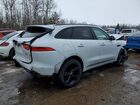 2020 Jaguar F-pace Checkered Flag White vin: SADCP2FX7LA661777