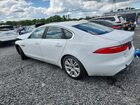 2016 Jaguar Xf Premium White vin: SAJBD4BV3GCY22394
