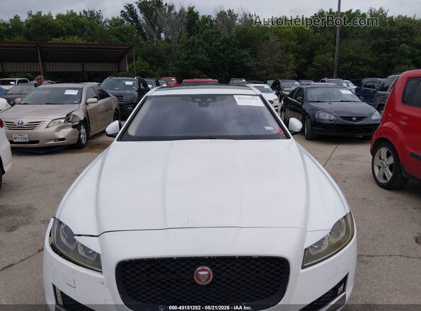 SAJBD4BV9GCY16731 2016 JAGUAR XF Белый Вид спереди