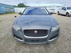 2016 Jaguar Xf Gray vin: SAJBE4BV2GCY08984