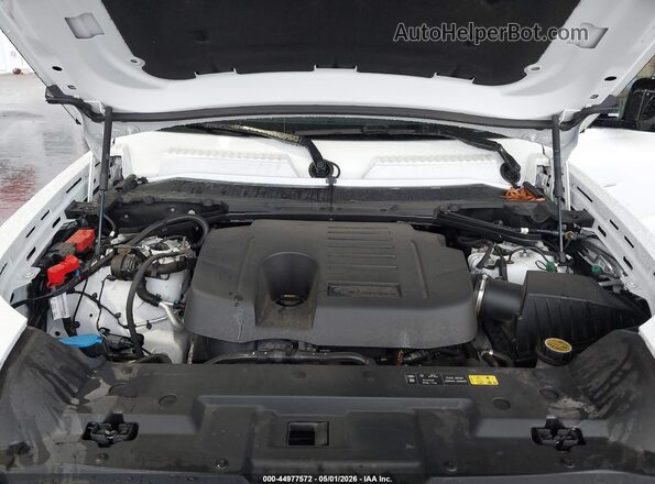 SALE26EU0P2129135 2023 LAND ROVER DEFENDER Белый Вид сзади