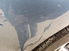 2016 Buick Cascada Premium Синий vin: W04WT3N56GG036262 Damage: Left Qtr Panel, Dent(S) W/ Paint Dmg, 1 To 2 Inches
