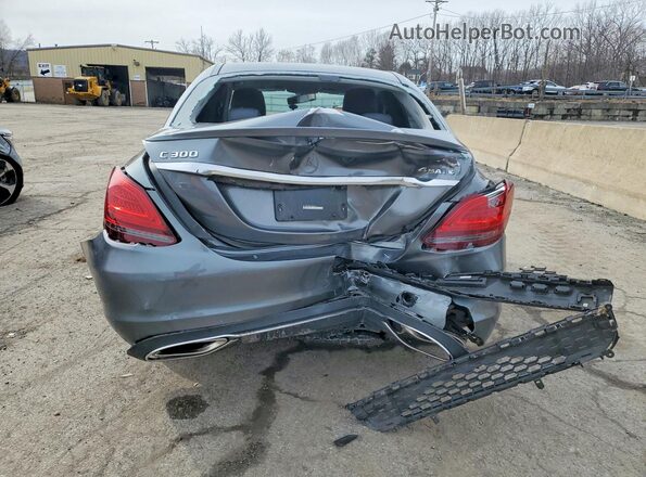 W1KWF8EB1LR602686 2020 MERCEDES-BENZ C Gray Widok z tyłu