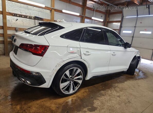 WA134AFY7R2079358 2024 AUDI SQ5 Белый Задняя правая четверть