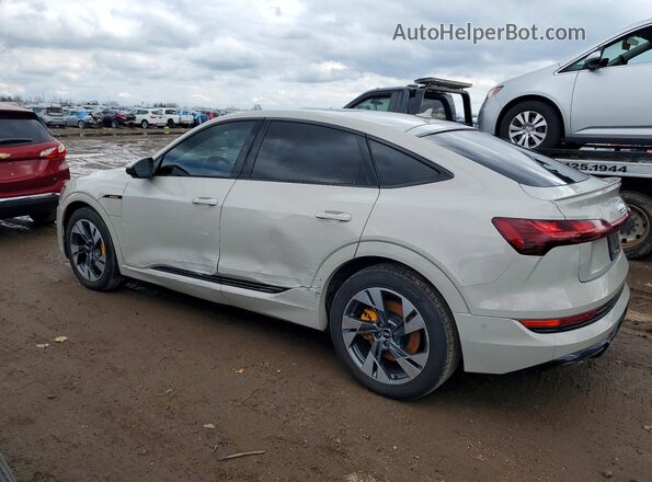 WA13AAGE2NB010259 2022 AUDI E-TRON Gray Tył lewy