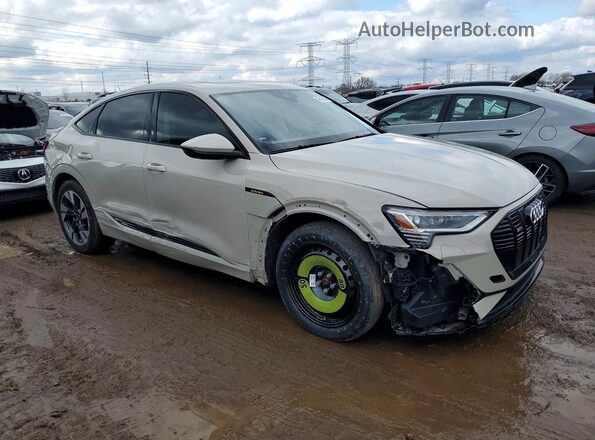 WA13AAGE2NB010259 2022 AUDI E-TRON Gray Przód prawy