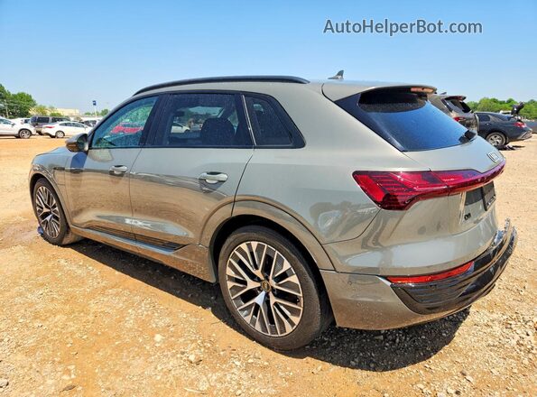 WA15AAGE2RB050596 2024 AUDI Q8 Серый Задняя левая четверть