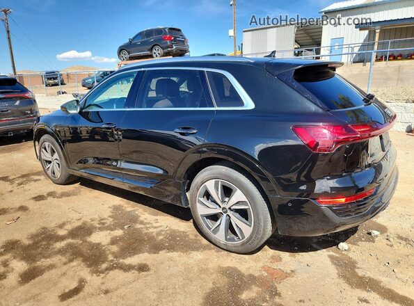 WA15AAGE7RB005444 2024 AUDI Q8 Черный Задняя левая четверть