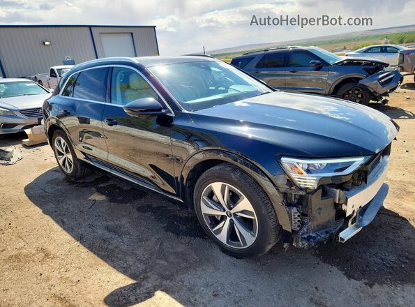 WA15AAGE7RB005444 2024 AUDI Q8 Черный Передняя правая четверть