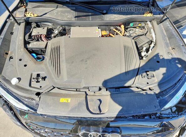 WA15AAGEXRB064097 2024 AUDI Q8 Черный Вид задней части салона