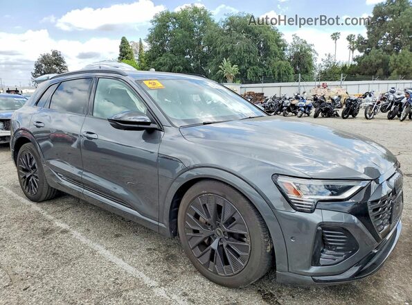 WA16AAGE5RB024093 2024 AUDI Q8 Gray Przód prawy