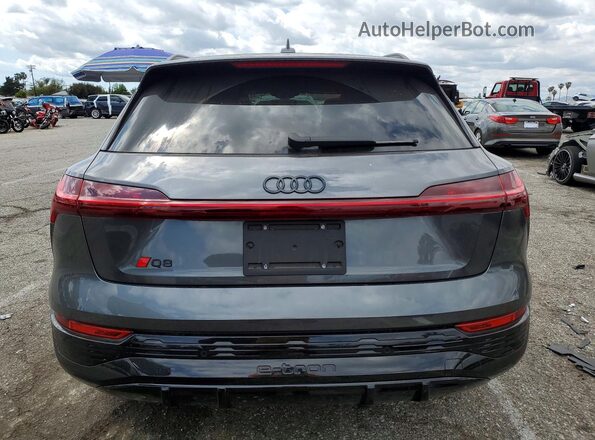 WA16AAGE5RB024093 2024 AUDI Q8 Gray Widok z tyłu