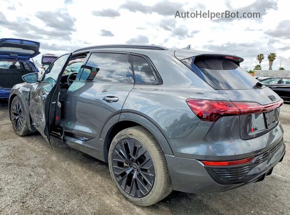 WA16AAGE5RB024093 2024 AUDI Q8 Gray Tył lewy