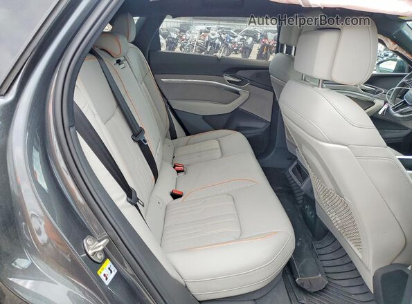 WA16AAGE5RB024093 2024 AUDI Q8 Gray Widok wnętrza z tyłu
