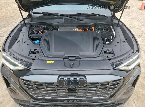 WA16AAGEXRB012389 2024 AUDI Q8 Gray უკანა სალონის ხედი