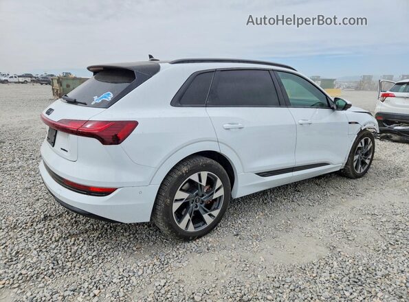 WA1AAAGE8MB038556 2021 AUDI E-TRON White უკანა მარჯვენა