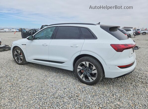 WA1AAAGE8MB038556 2021 AUDI E-TRON White უკანა მარცხენა