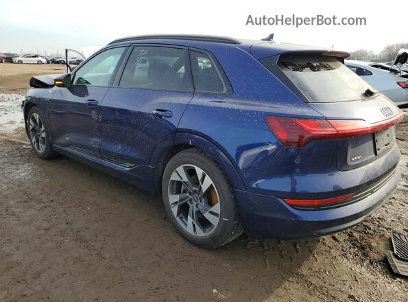 WA1AAAGE9NB009732 2022 AUDI E-TRON Blue Tył lewy