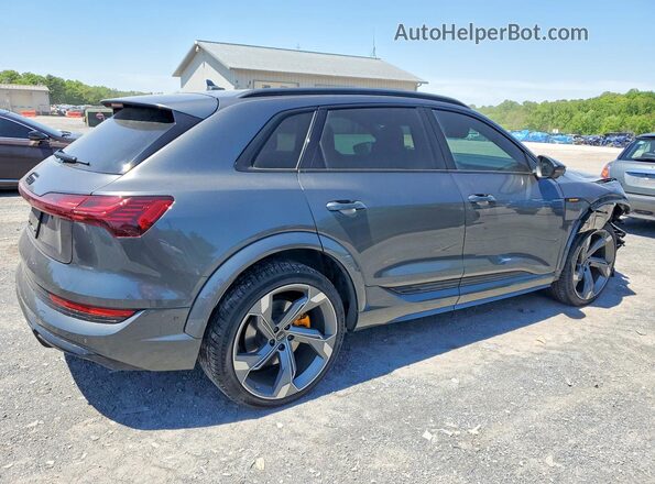 WA1ACBGE0PB019469 2023 AUDI E-TRON Gray Tył prawy
