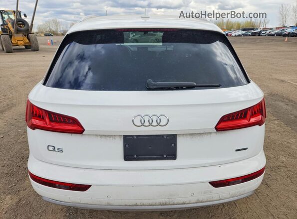 WA1ANAFY3K2054516 2019 AUDI Q5 White Вид ззаду