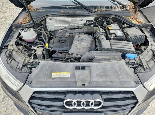 WA1BCCFS1HR016560 2017 AUDI Q3 Черный Вид задней части салона
