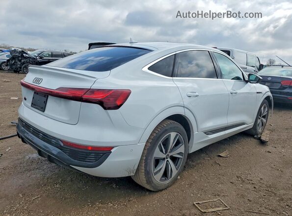 WA1CAAGE0RB007771 2024 AUDI Q8 White Tył prawy