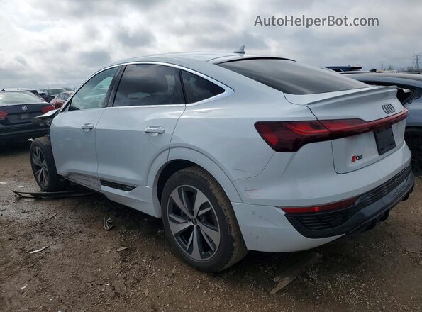 WA1CAAGE0RB007771 2024 AUDI Q8 White Tył lewy