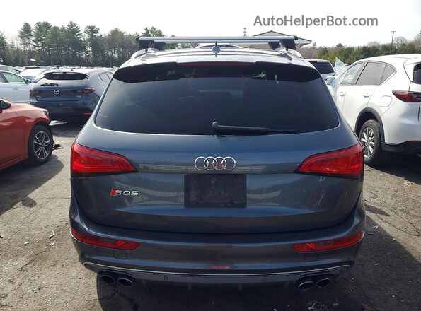 WA1CCAFP0GA094295 2016 AUDI SQ5 Gray Вид ззаду