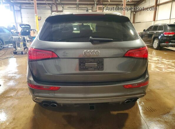 WA1CCAFP1GA006600 2016 AUDI SQ5 Gray Widok z tyłu