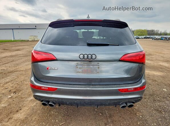 WA1CCAFP1HA089754 2017 AUDI SQ5 Gray უკანა ხედი