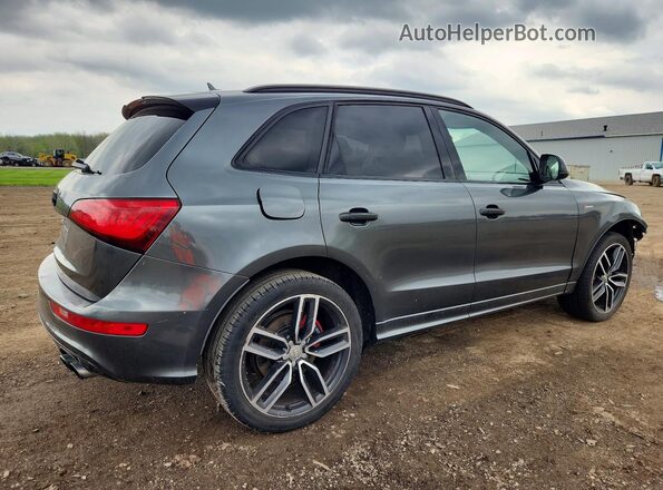 WA1CCAFP1HA089754 2017 AUDI SQ5 Gray უკანა მარჯვენა