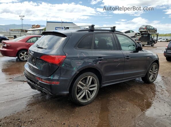 WA1CCAFP5GA004607 2016 AUDI SQ5 Blue Հետևի աջ