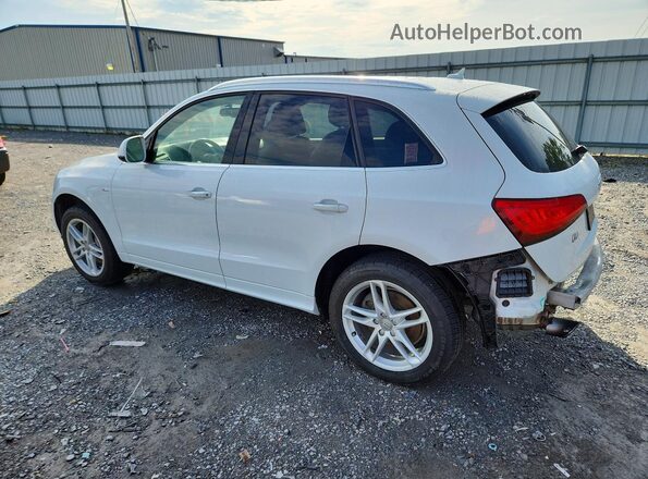 WA1D7AFP6GA136459 2016 AUDI Q5 White Tył lewy