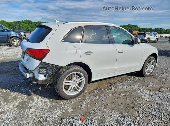 WA1D7AFP6GA136459 2016 AUDI Q5 White Tył prawy