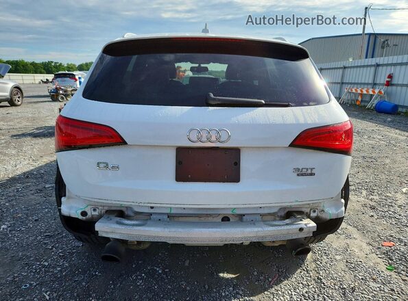 WA1D7AFP6GA136459 2016 AUDI Q5 White Widok z tyłu
