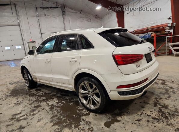 WA1GFCFS8GR014932 2016 AUDI Q3 White Tył lewy