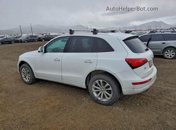 WA1L2AFP3GA075582 2016 AUDI Q5 White Trasero izquierdo