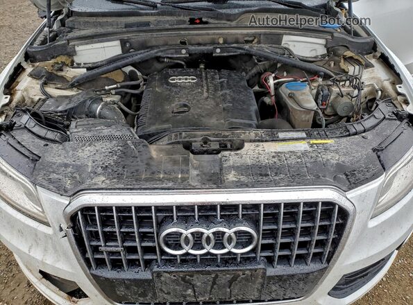 WA1L2AFP3GA075582 2016 AUDI Q5 White Vista del compartimento del motor