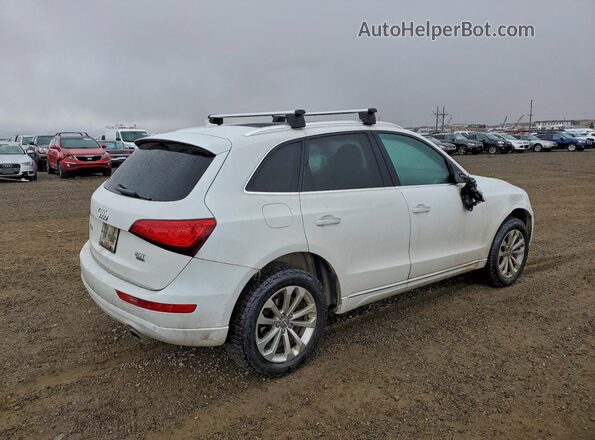 WA1L2AFP3GA075582 2016 AUDI Q5 White Trasero derecho