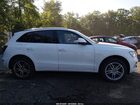 2017 Audi Q5 2.0t Premium White vin: WA1L2AFP4HA100250 2017 Audi Q5 2.0t Premium White vin: WA1L2AFP4HA100250