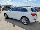 2017 Audi Q5 Premium Plus White vin: WA1L2AFP7HA020649