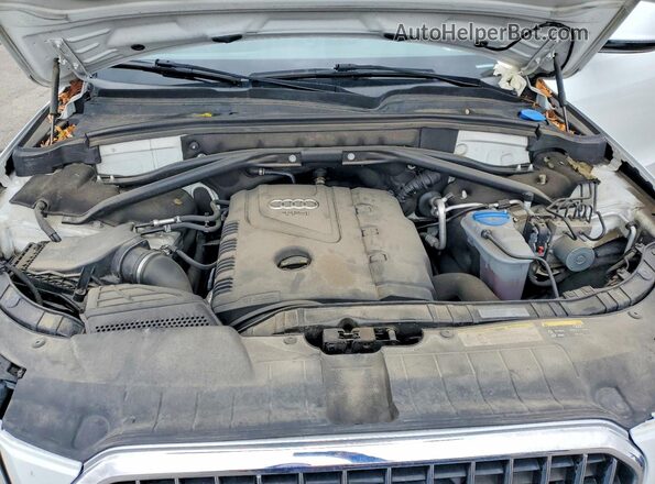 WA1L2AFP8GA130639 2016 AUDI Q5 White Widok wnętrza z tyłu