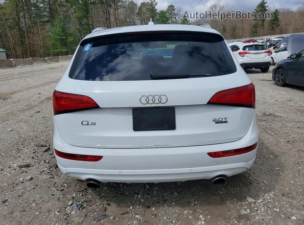 WA1L2AFPXGA092802 2016 AUDI Q5 Белый Вид сзади