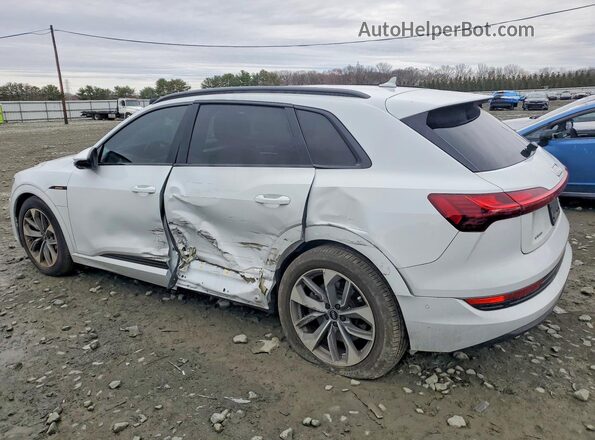 WA1LAAGE7MB027265 2021 AUDI E-TRON White Tył lewy